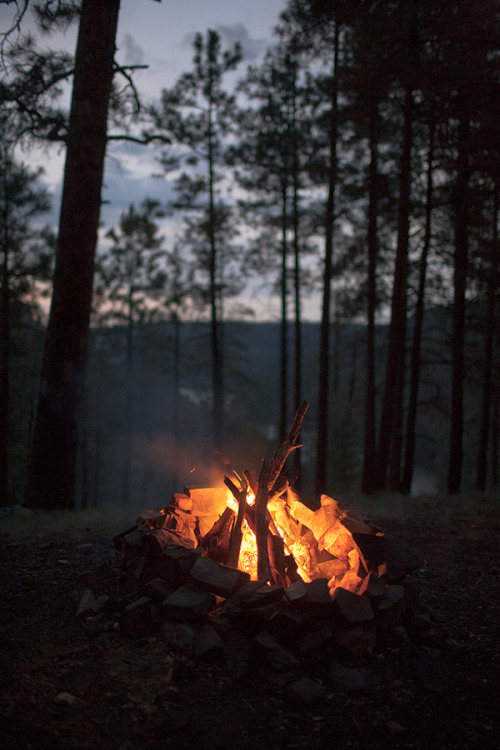 tumblr_nqtno0xPwl1qglw5bo1_500