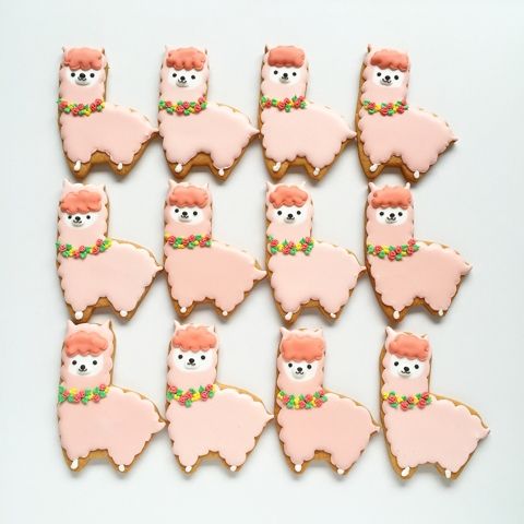 3e01fa6c02facd28709da3c04d8dbf55